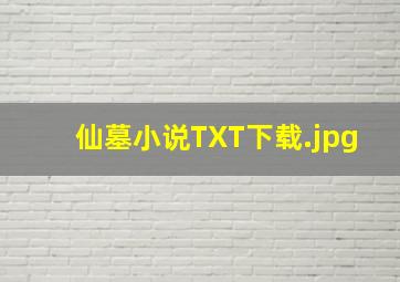 仙墓小说TXT下载